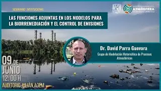 Las funciones adjuntas en los modelos para la biorremediación y el control de emisiones