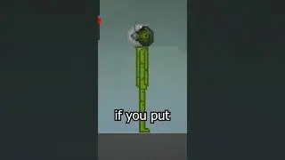 NEW SECRET FACTS in Melon Playground