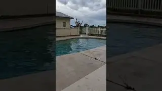 Gainer into a pool