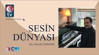 Sesin Dünyası 4. Bölüm - Ayla Nil Çetin - Müzik Öğretmeni
