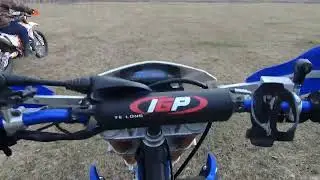 KAYO PANTERA REGUL