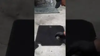 How To Remove Pet Hair From Carpeting