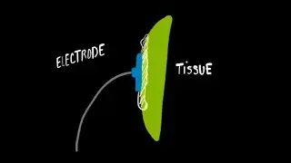 Electrical Model of the Ag/AgCl Electrode | Bioinstrumentation Design