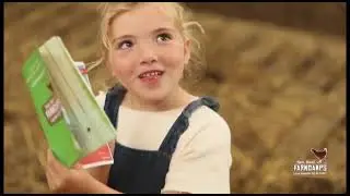 Nickelodeon (Netherlands) - Continuity - (2024.06.05)