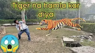 Zoo ma tiger na hamla kar diya | bakus