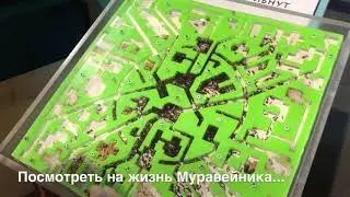 Наша поездка в «Живые Системы»