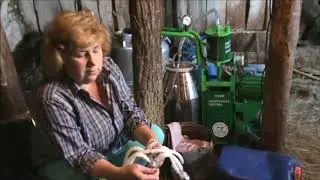 Молочная ферма отзыв 2