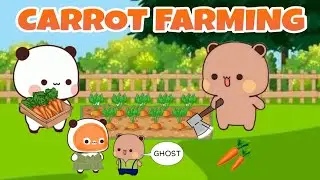 Bubu Dudu harvesting carrots 🥕|| bubu dudu peach Goma Panda Bear Cats|| Kittensisland