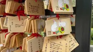 Kansai Trip Short Clip