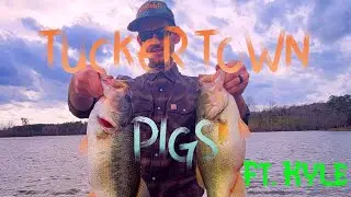 Pigs on TuckerTown Res. Ft Kyle!