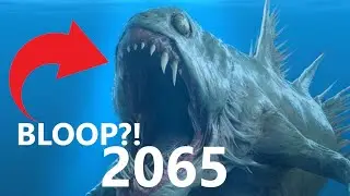 Evolution of Bloop