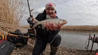 Manych 2026! The first good roach this year! 🎣🎉 ‼️+CONTEST‼️