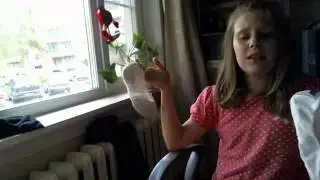 Видео с веб-камеры. Дата: 29 сентября 2013 г., 12:07.