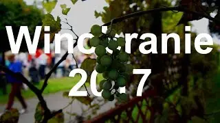 Winobranie 2017 Zielona Góra | VLOG-o-RELACJA