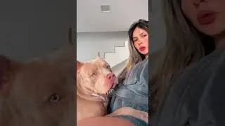 My Dog Wants to Suck me on my private part 😜 