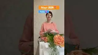 Рыбы гороскоп на март 2024 года #гороскоп #таро #еленасаламандра