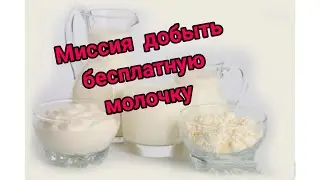 везуха продолжается! Вкусный пирог и наваристые щи.