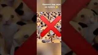 14 августа 2024 г.