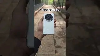 Vivo X200 Pro Camera Test – Is This the BEST Smartphone Camera in 2025?