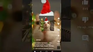 я вернулся 🥳🥳🥳🥳🥳