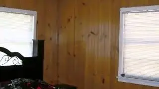 3198.mp4