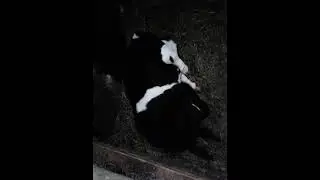Обход хозяйства.