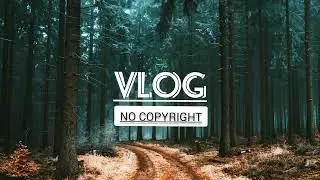 Vlog No Copyright Music |Music For Vlog