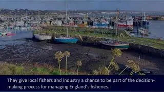 What are Regional Fisheries Groups