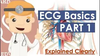 ECG Basics Part 1 - Lead Placement, Limb Vs Precordial, Vectors, Intervals, Rate | Essentials