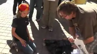 Oakland General Strike: DIY Occupy Tshirt