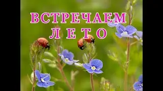 ВСТРЕЧАЕМ ЛЕТО!!! ОТЛИЧНОГО ПОЗИТИВНОГО НАСТРОЕНИЯ!