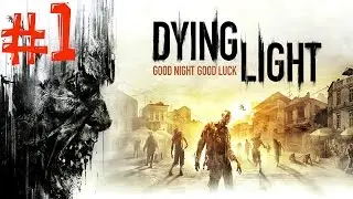 Dying Light. Прохождение. Часть 1 (Паркурщик) 60fps