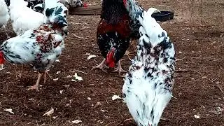 ПОДГОТОВКА К ЗИМЕ!!!
