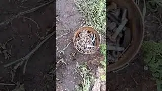 Почему ваз называют ведро с болтами?