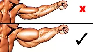 Effective Biceps Triceps and Forearms Workout to Build Thick Wider Arms