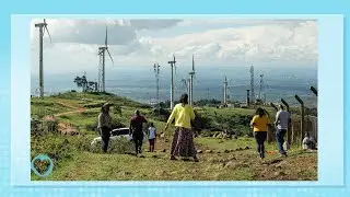 Healthy Living: experts speak on the relationship between nature and health