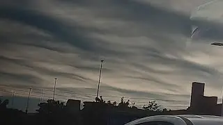 PLANT TIME LAPSE 1