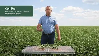 СОЯ PRO: ОТ ЗАЩИТЫ ВСХОДОВ ДО КЛУБЕНЬКОВ. ИНОКУЛЯЦИЯ И ОБРАБОТКА СЕМЯН — ЗАЛОГ ВЫСОКОЙ УРОЖАЙНОСТИ