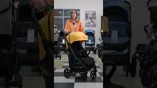 КОЛЯСКИ ПО ЗНАКАМ ЗОДИАКА | СКОРПИОНЫ