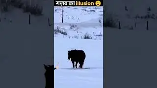 illusion 😯 Find the right direction #shorts
