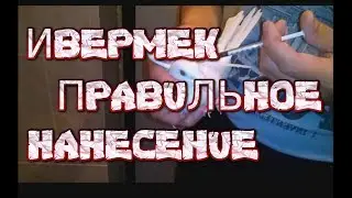 ИВЕРМЕК голубям. | Применение и дозировка для голубей.