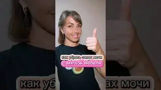 How to remove urine smell from a sofa 