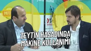 ZEYTİN HASADINDA MAKİNA KULLANIMI VE SAĞLADIĞI AVANTAJLAR | TARIM VİTRİNİ
