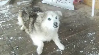 Соседка!😊