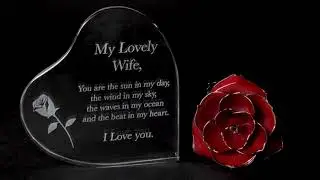 GreenCor Anniversary for Wife/Gold Dipped Rose for Birthday Gifts/Fezantec