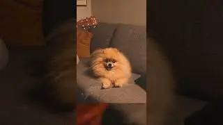 Music fluffer does the unthinkable