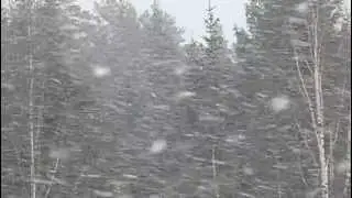 Vårdagjämning i Saxdalen 2013