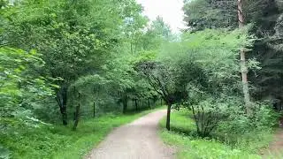 A Walk through the Kislovodsk Resort Park. July 2022.