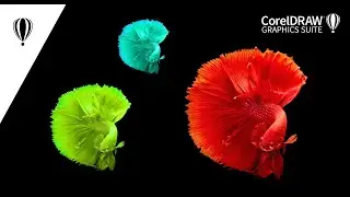 CorelDRAW tutorial - how to change color in photo/bitmap image II 