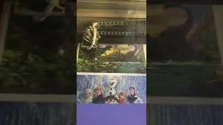 Изготовление пазлов
